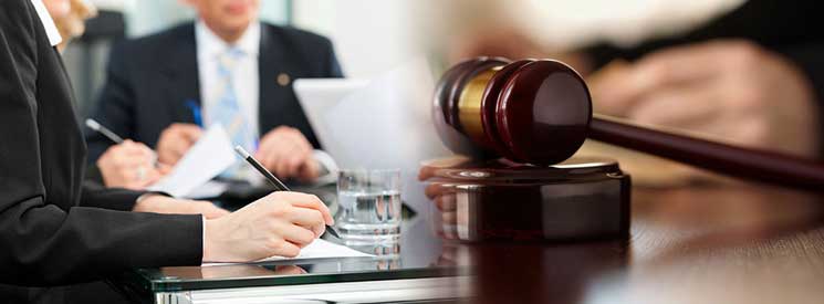 Litigation Support Services